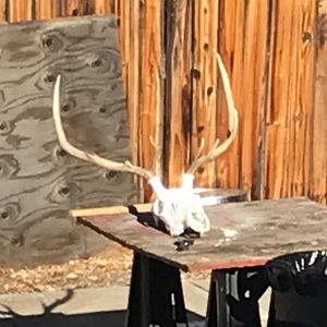 Meet your Posher, Jared